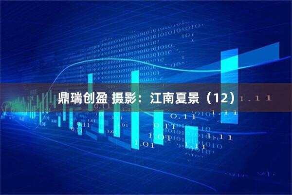 鼎瑞创盈 摄影：江南夏景（12）