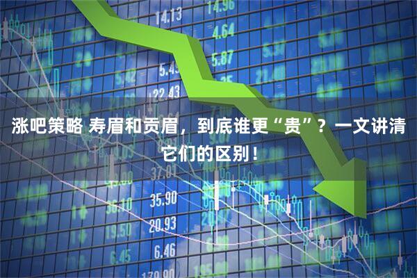 涨吧策略 寿眉和贡眉，到底谁更“贵”？一文讲清它们的区别！