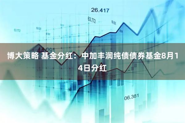 博大策略 基金分红：中加丰润纯债债券基金8月14日分红