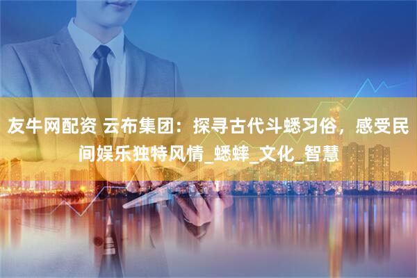 友牛网配资 云布集团：探寻古代斗蟋习俗，感受民间娱乐独特风情_蟋蟀_文化_智慧