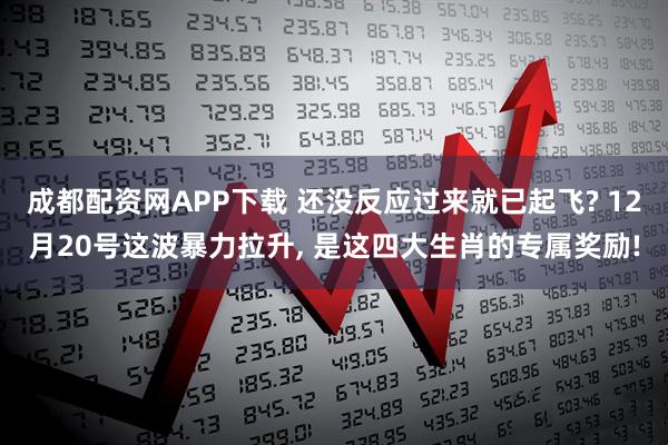 成都配资网APP下载 还没反应过来就已起飞? 12月20号这波暴力拉升, 是这四大生肖的专属奖励!