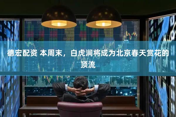 德宏配资 本周末，白虎涧将成为北京春天赏花的顶流