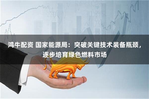 鸿牛配资 国家能源局：突破关键技术装备瓶颈，逐步培育绿色燃料市场